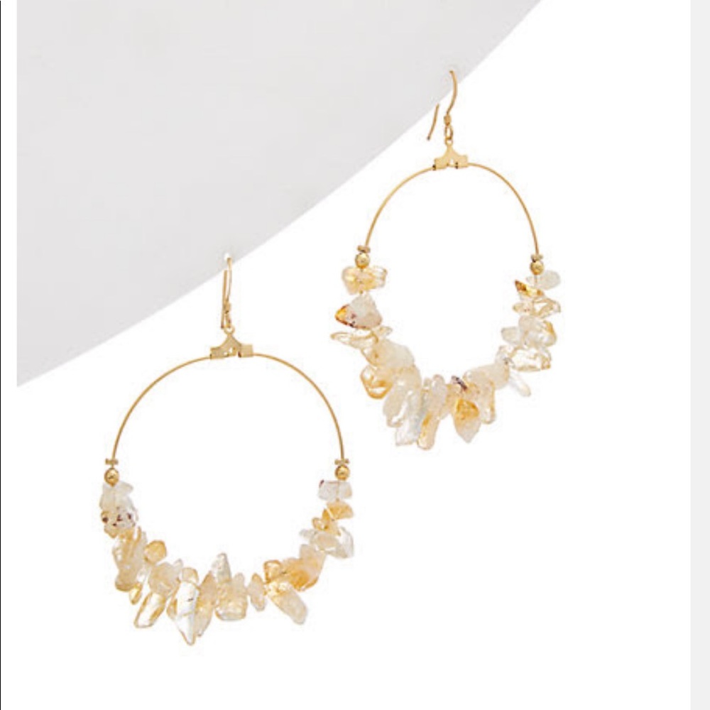Kenneth Jay Lane 22K Plated Resin Earrings